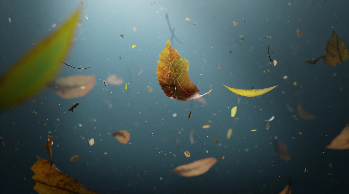 image_655_f7219bd8-4007-48b8-8683-31973f1876af.webp